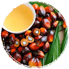 palme